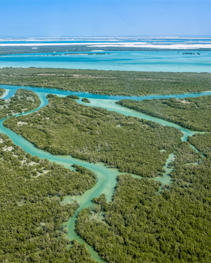 Promoting-Biodiversity-Nature-Based Solutions