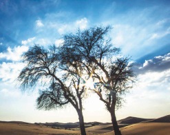  Sustainability Report 2014